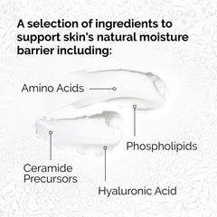 The Ordinary - Natural Moisturizing Factors + HA